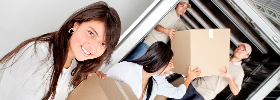 Professional Removalists Gowang